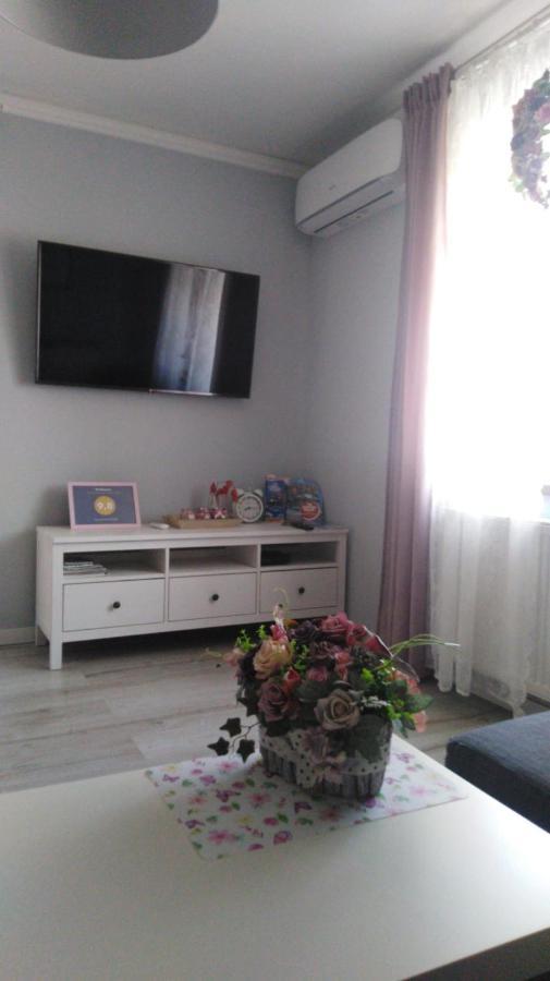 Apartament Antek Klimatyzowany ออชเวียนชิม ภายนอก รูปภาพ