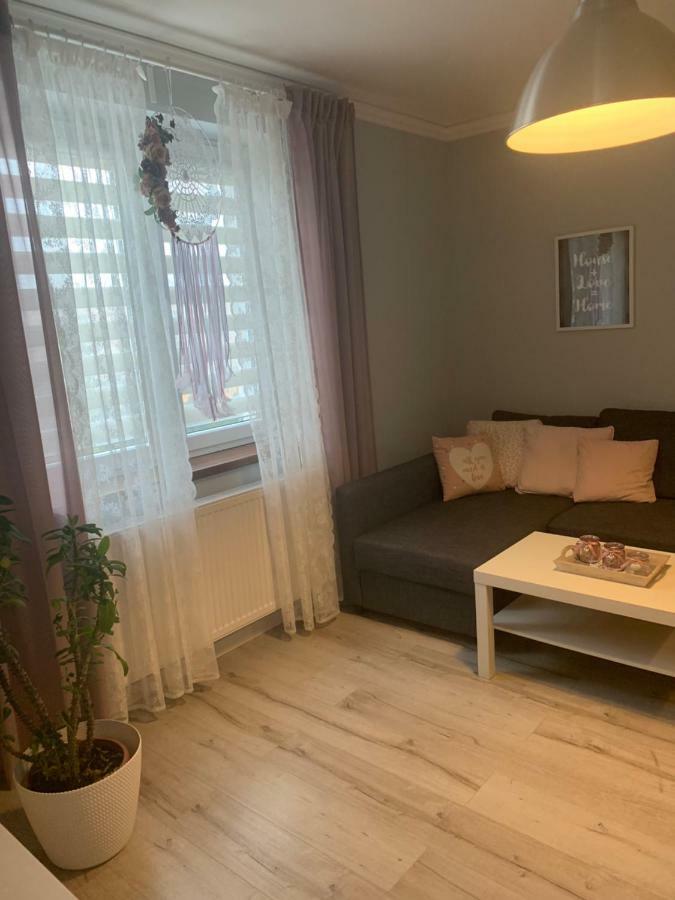Apartament Antek Klimatyzowany ออชเวียนชิม ภายนอก รูปภาพ