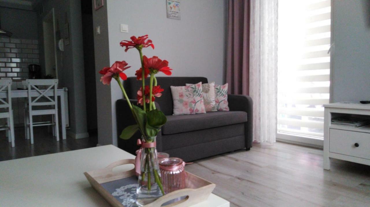 Apartament Antek Klimatyzowany ออชเวียนชิม ภายนอก รูปภาพ
